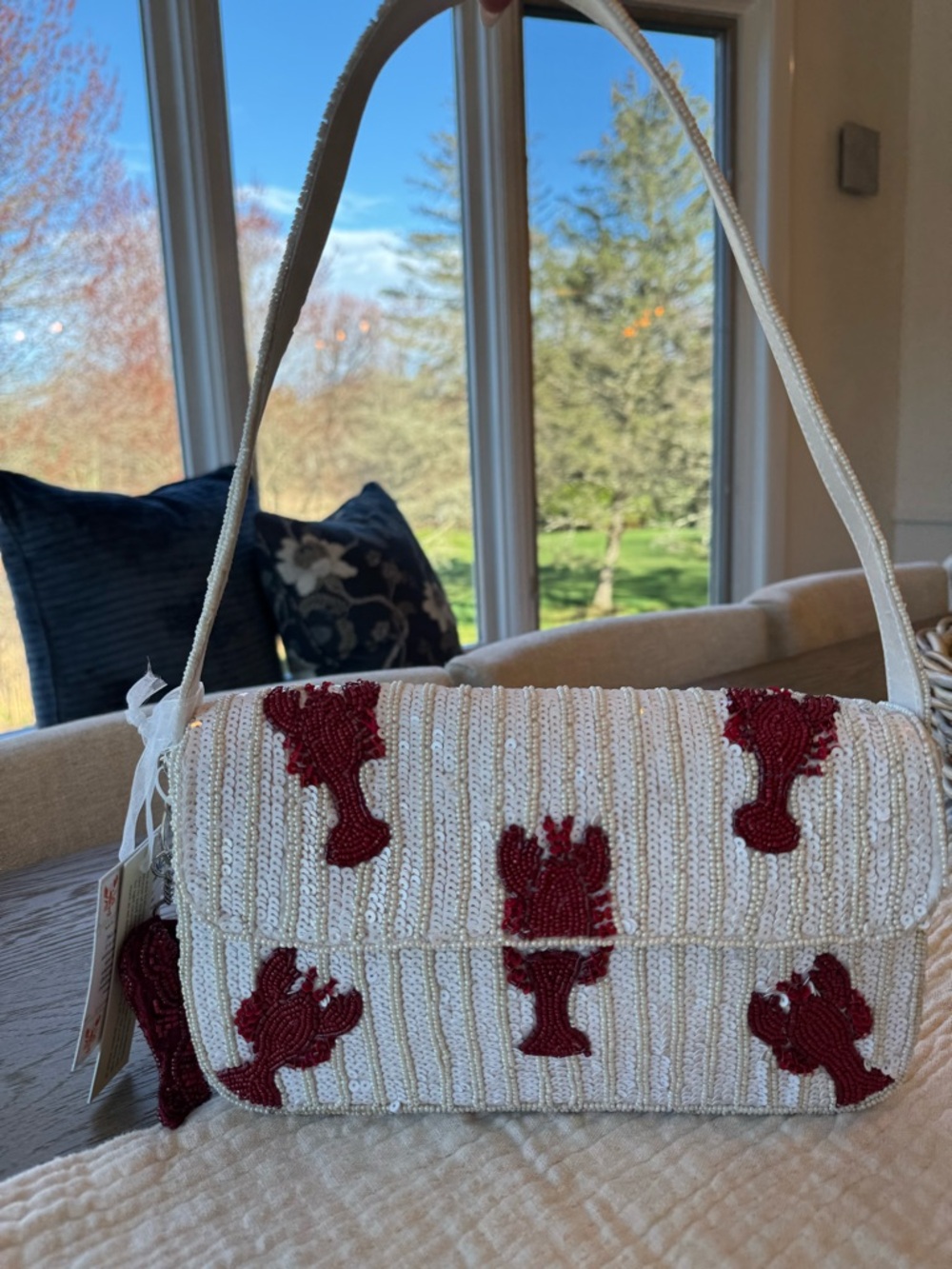 Tik Tok Viral Beaded Lobster Bag - Picture 6 of 11